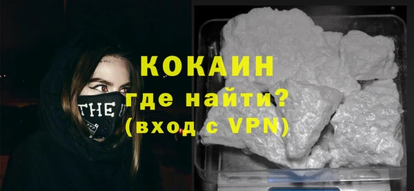 гашик Новозыбков