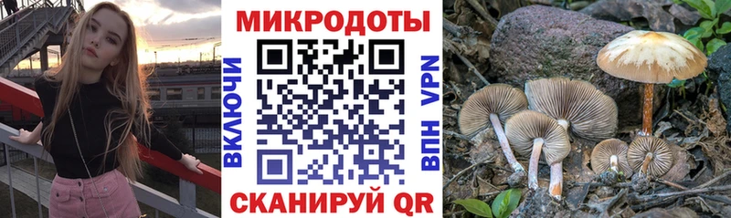 Псилоцибиновые грибы мухоморы  Златоуст 