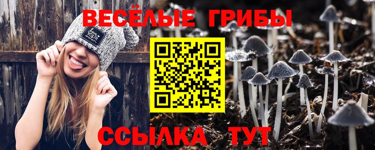 Псилоцибиновые грибы GOLDEN TEACHER  Вход с VPN  Златоуст 
